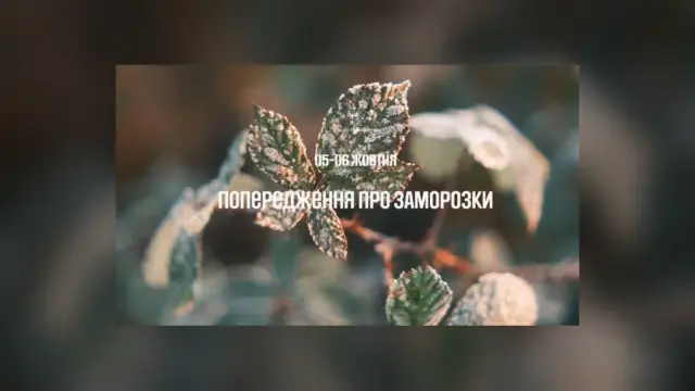 У Львівській області 5–6 жовтня очікуються заморозки: попередження ДСНС