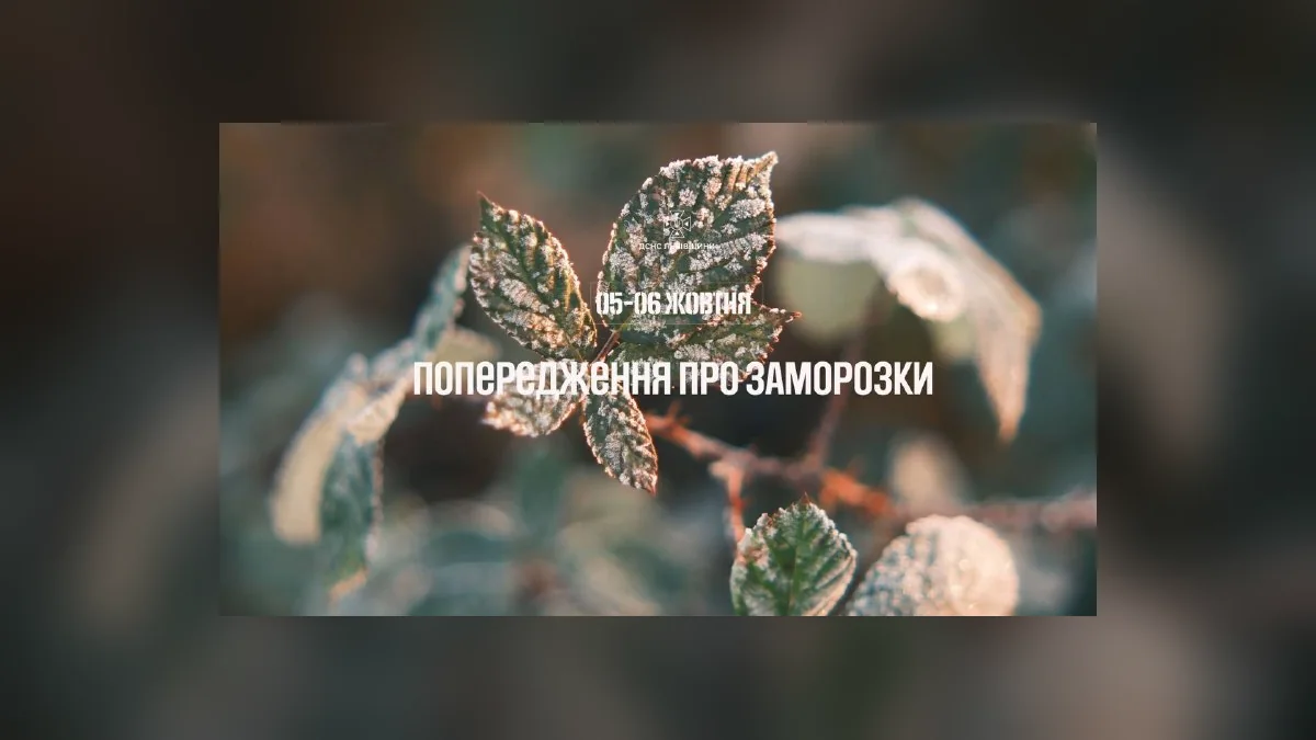 У Львівській області 5–6 жовтня очікуються заморозки: попередження ДСНС
