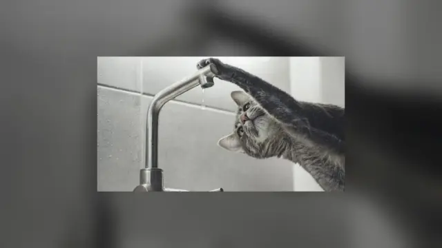 У Соснівці припинили подачу води через порив мережі на вулиці Шахтарській